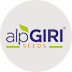 Alpgiri